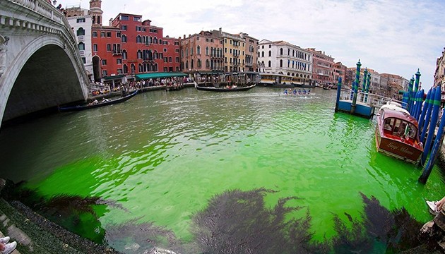Greta Venedik'i yeşile boyadı