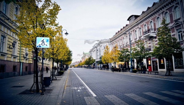 Litvanya’da Rus plakalı araçların kullanımını yasaklandı