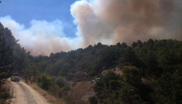 Afyon'da ormanlık alanda yangın: Ekiplerin müdahalesi sürüyor