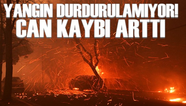 Los Angeles'ta can kaybı artıyor