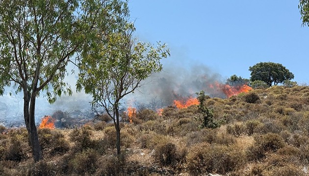 Bodrum'da makilik alanda yangın