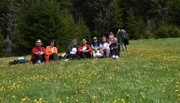 Yaylalarda ziyaretçi yoğunluğu