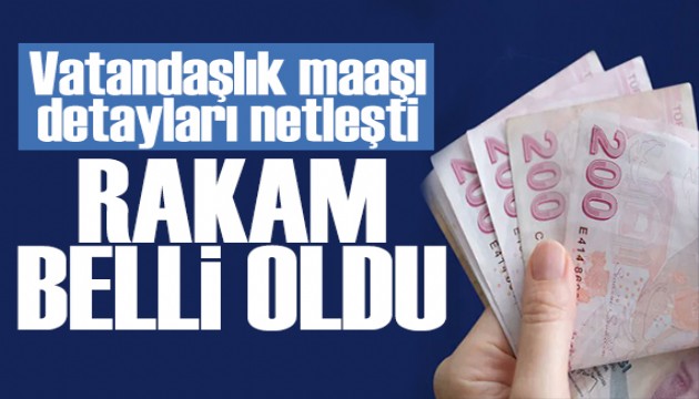 Vatandaşlık maaşının detayları netleşti