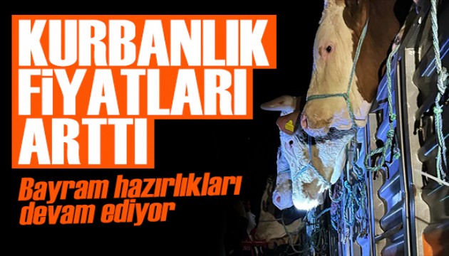 Kurbanlıklar görücüye çıkıyor! Fiyatları arttı