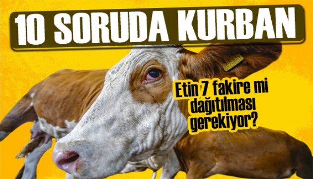 Diyanet açıkladı: 10 soruda Kurban ibadeti! Kurban eti kaç kişiye dağıtılır?