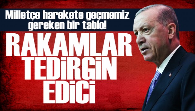 Erdoğan'dan Aile ve Nüfus 10 yılı mesajı: Rakamlar tedirgin edici
