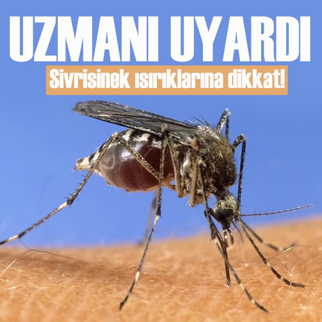 Uzman isimden kritik uyarılar: Batı Nil virüsüne karşı sivrisinek ısırıklarına dikkat