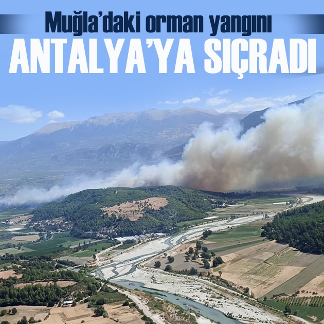 Muğla’daki orman yangını Antalya’ya sıçradı