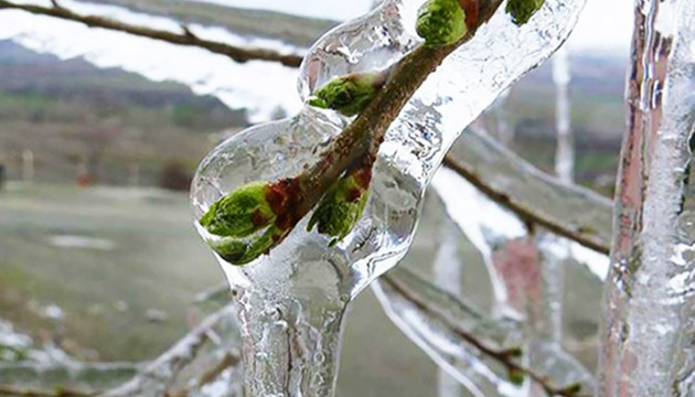 Meteorolojiden zirai don uyarısı