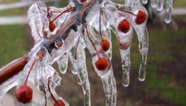 Meteoroloji Genel Müdürlüğü'nden zirai don uyarısı!