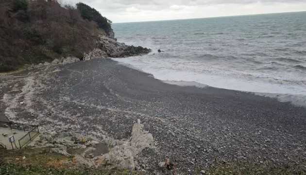 Zonguldak'taki Kızlar Plajı'nda cinsel ilişki skandalı! İnceleme başlatıldı