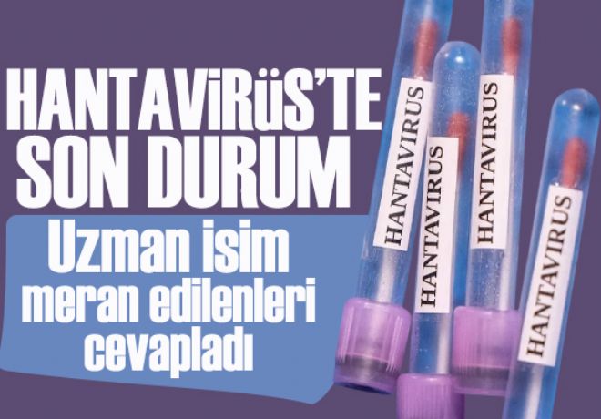 Prof. Dr. Önder Ergönül merak edilenleri cevapladı: Hantavirüs salgınında son durum ne?  